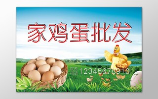 鸡蛋生鲜土特产家养鸡蛋绿色食品新鲜健康海报模板